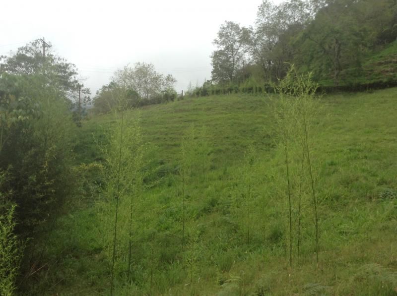 Lote en venta Valle Del Cauca Dagua Dagua 0 m2 Habitaciones 0 Baños 0 Garajes 0 Precio $455000000