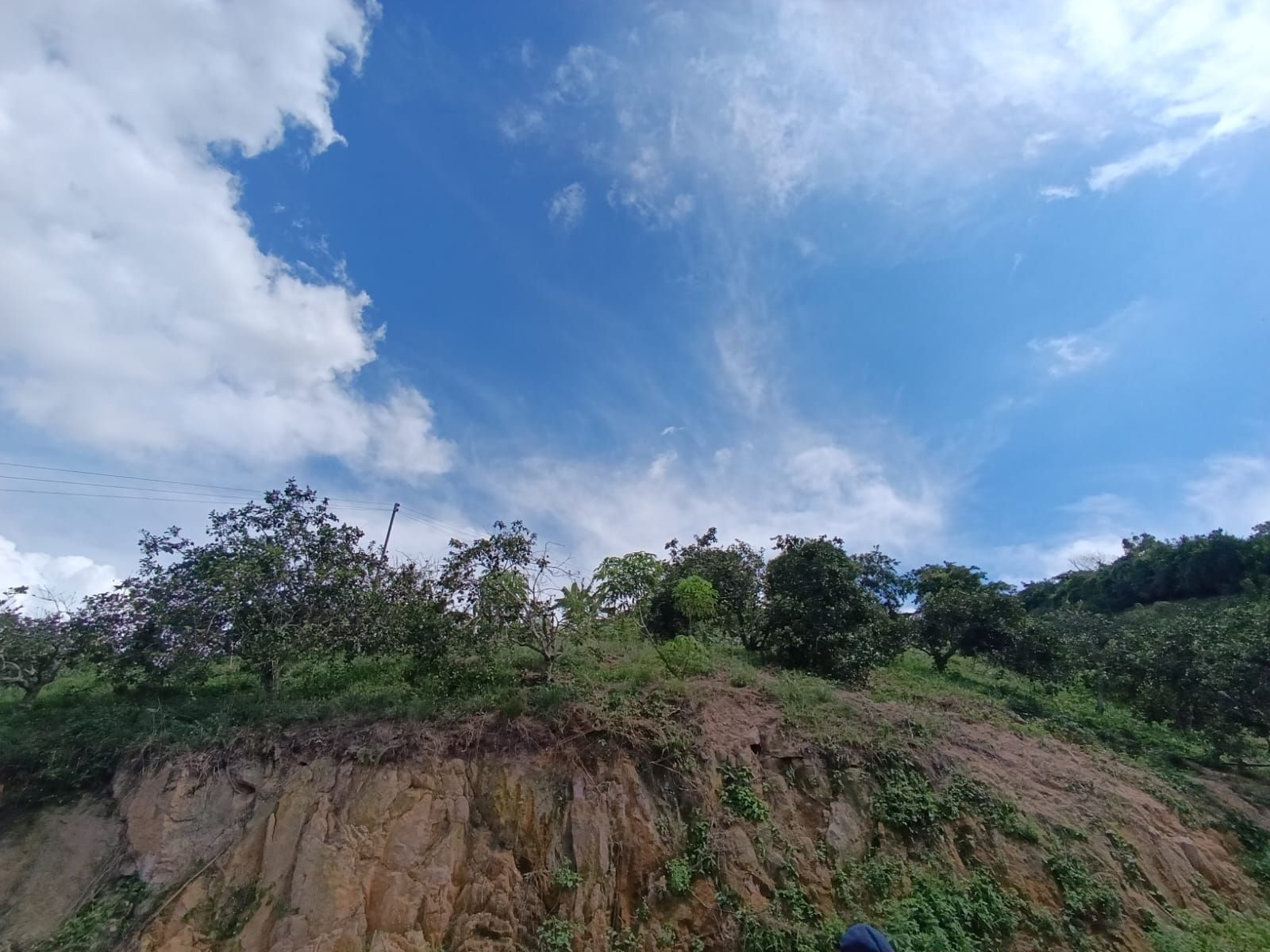 Lote en venta Santander Lebríja Pinos De Bellavista 1000 m2 Habitaciones 0 Baños 10 Garajes 1 Precio $100000000