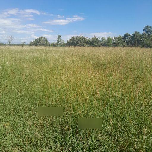 Lote en venta Cundinamarca Siberia Siberia 0 m2 Habitaciones 0 Baños 10 Garajes 1 Precio $3240000000