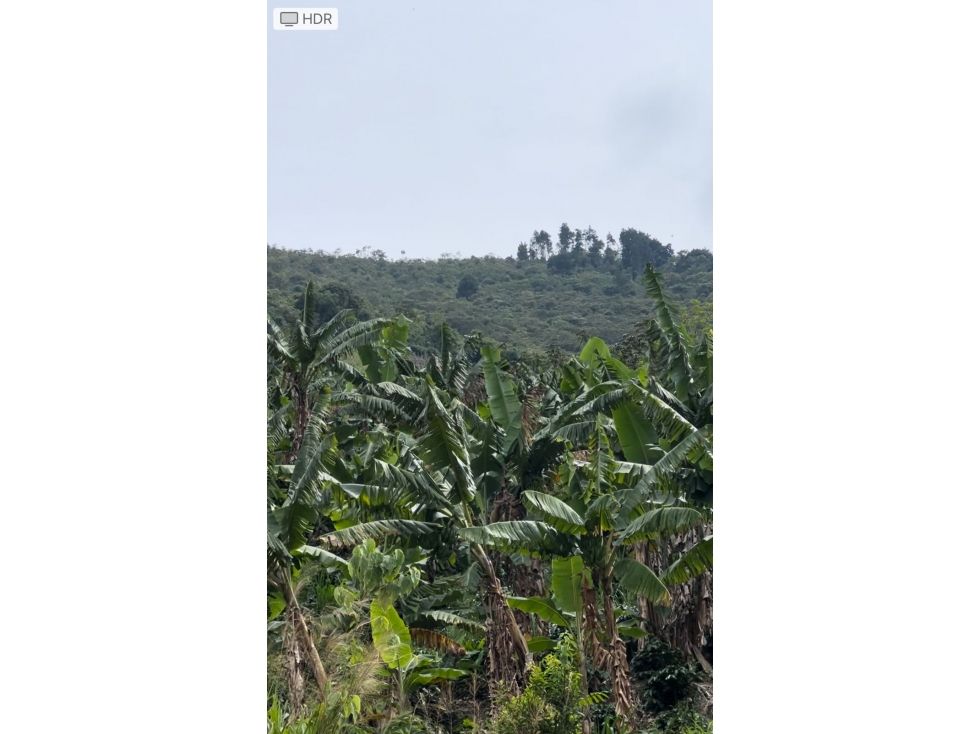 Finca en venta Caldas Pácora Pácora 72 m2 Habitaciones 4 Baños 1 Garajes 2 Precio $250000000