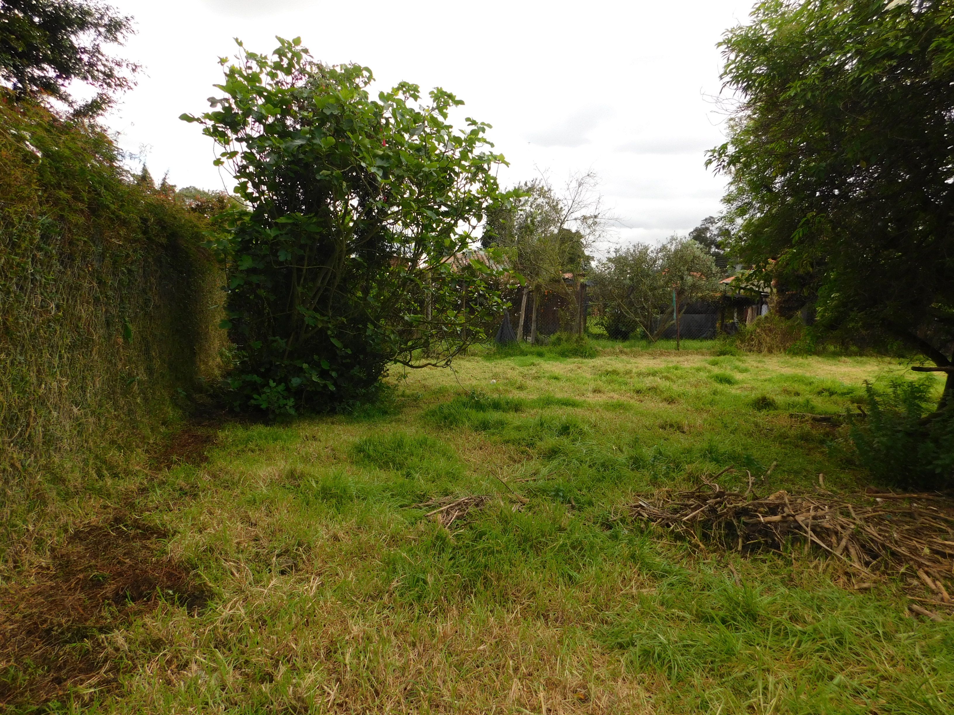 Lote en venta Cundinamarca Chía Chia 0 m2 Habitaciones 0 Baños 10 Garajes 1 Precio $1000000000