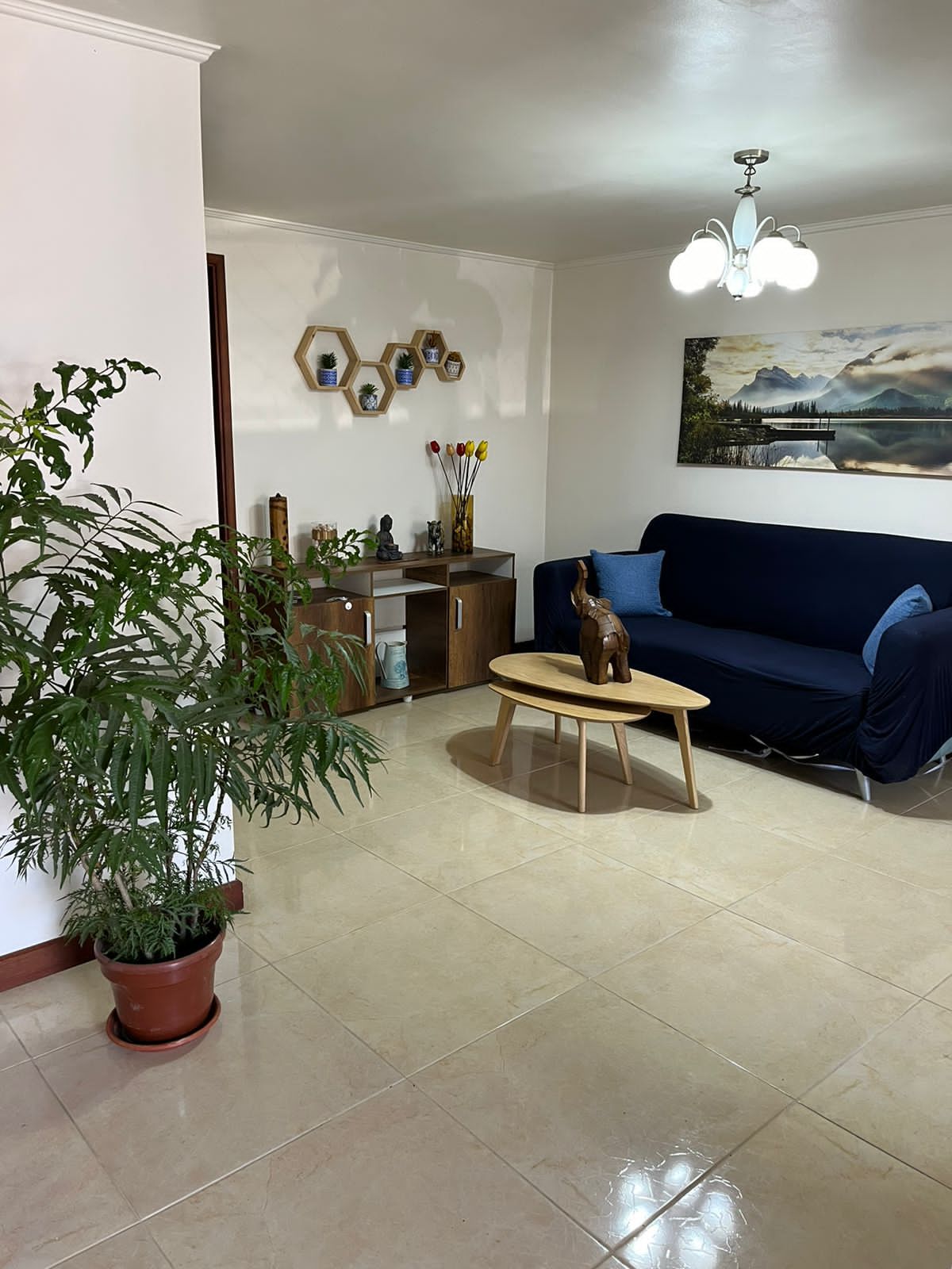 Casa en venta Risaralda Pereira El Progreso 156 m2 Habitaciones 4 Baños 6 Garajes 3 Precio $695000000