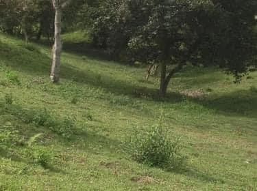 Lote en venta Tolima Ibagué Ibagué 3800 m2 Habitaciones 0 Baños 0 Garajes 0 Precio $350000000