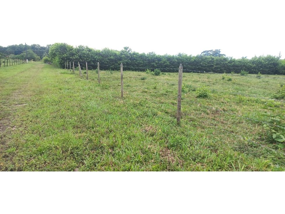 Lote en venta Meta Villavicencio Villavicencio 2173 m2 Habitaciones 0 Baños 0 Garajes 0 Precio $220000000