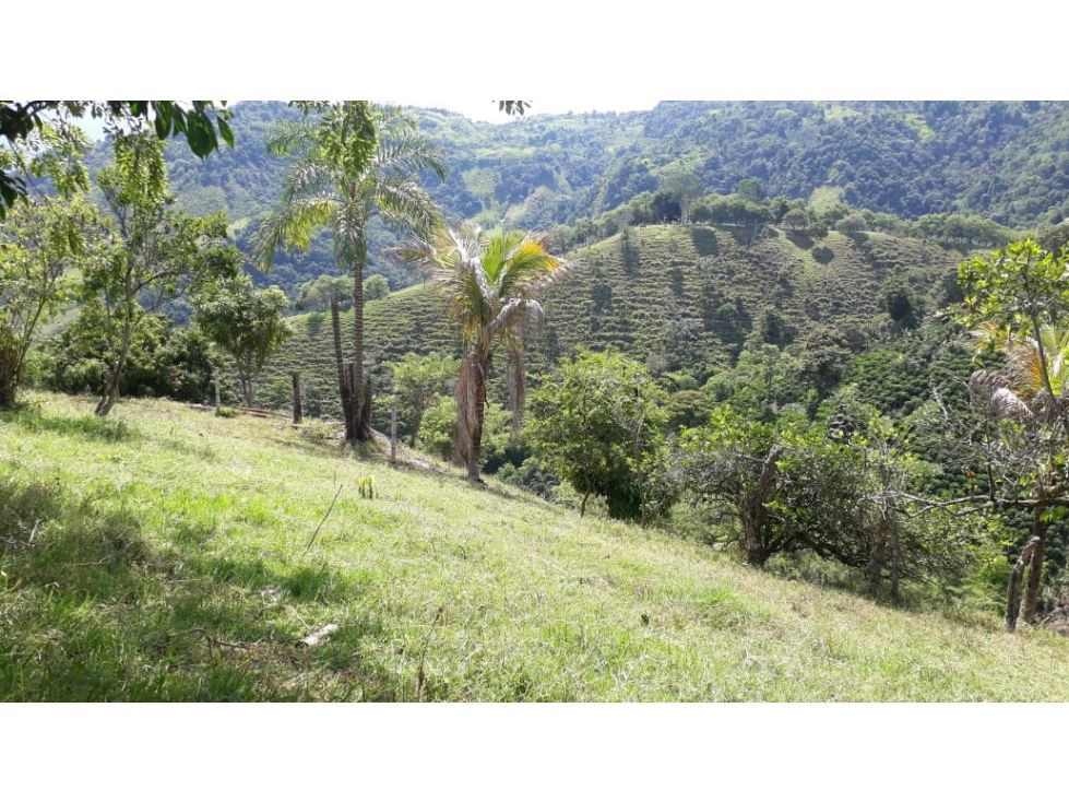Finca en venta Caldas Filadelfia Filadelfia 250 m2 Habitaciones 5 Baños 3 Garajes 1 Precio $3000000000