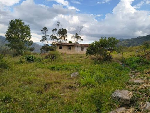 Finca en venta Cundinamarca Choachí Choachi 18000 m2 Habitaciones 3 Baños 1 Garajes 0 Precio $319000000