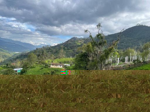 Finca en venta Cundinamarca Choachí Choachi 18000 m2 Habitaciones 3 Baños 1 Garajes 0 Precio $295000000