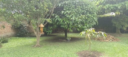 Casa en venta Quindío Calarcá Calarcá 120 m2 Habitaciones 4 Baños 3 Garajes 5 Precio $730000000