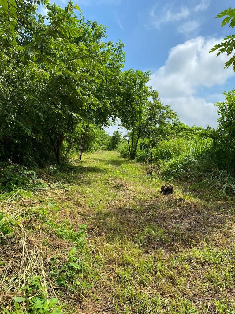 Lote en venta Atlántico Galapa La Candelaria 120000 m2 Habitaciones 0 Baños 0 Garajes 0 Precio $2220000000