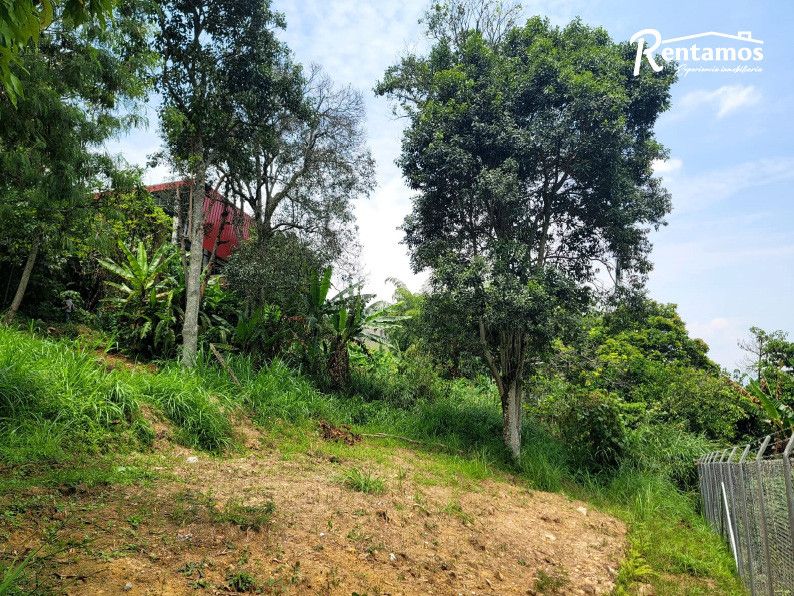 Lote en venta Antioquia Envigado El Salado 1266 m2 Habitaciones 0 Baños 0 Garajes 0 Precio $810000000