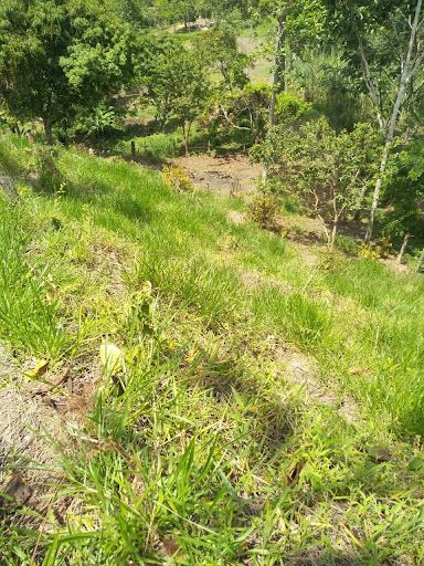 Lote en venta Cundinamarca Nocaima Nocaima 7470 m2 Habitaciones 0 Baños 10 Garajes 1 Precio $320000000