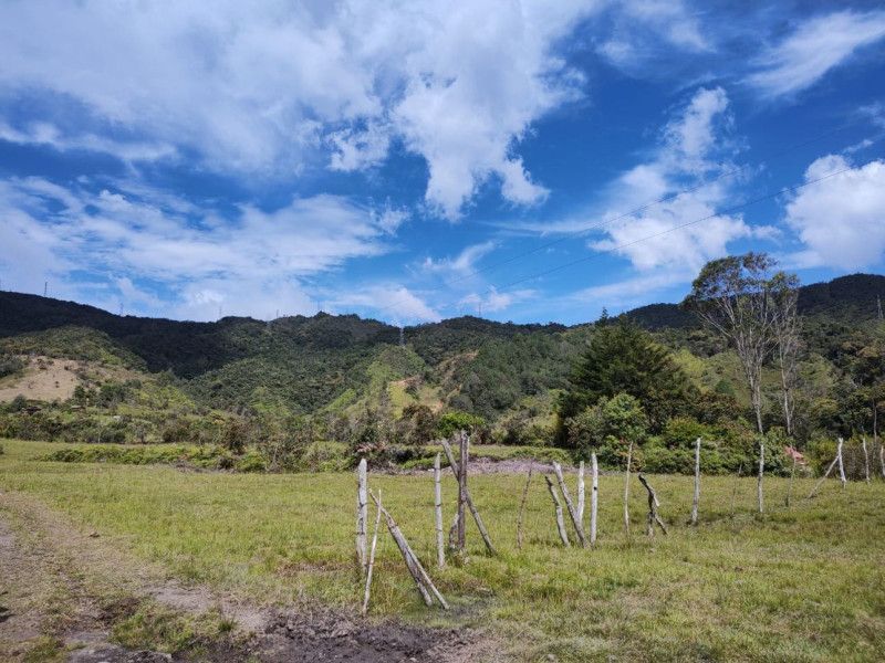 Lote en arriendo Antioquia Guatape Guatape 12800 m2 Habitaciones 0 Baños 0 Garajes 0 Precio $6000000