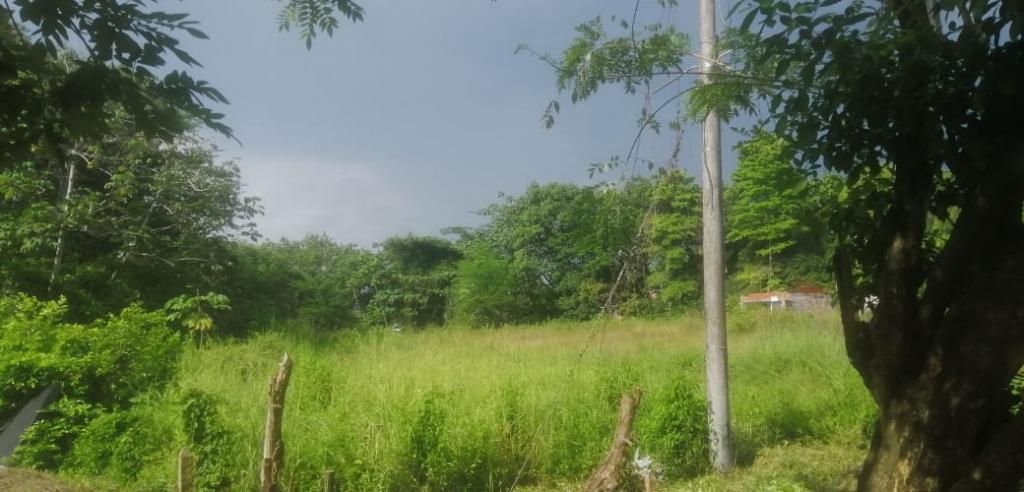 Lote en arriendo Santander Barrancabermeja Palmira 7000 m2 Habitaciones 0 Baños 0 Garajes 0 Precio $31500000