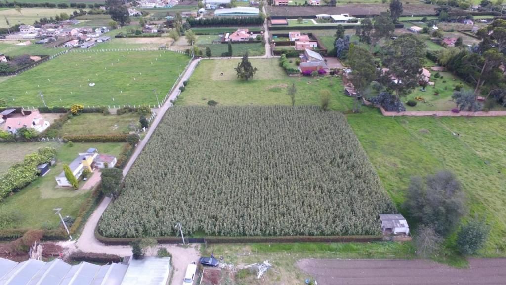 Lote en venta Cundinamarca Chía Br Santa Rita 6486 m2 Habitaciones 0 Baños 0 Garajes 0 Precio $7783200000