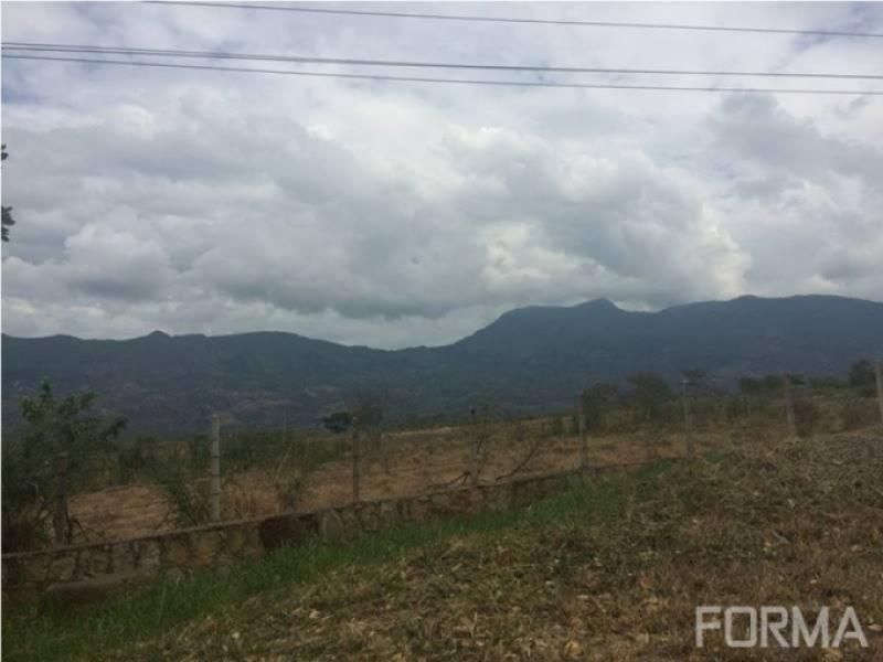 Lote en venta Cundinamarca Fusagasugá Sector El Caribe 0 m2 Habitaciones 0 Baños 0 Garajes 0 Precio $1231000000
