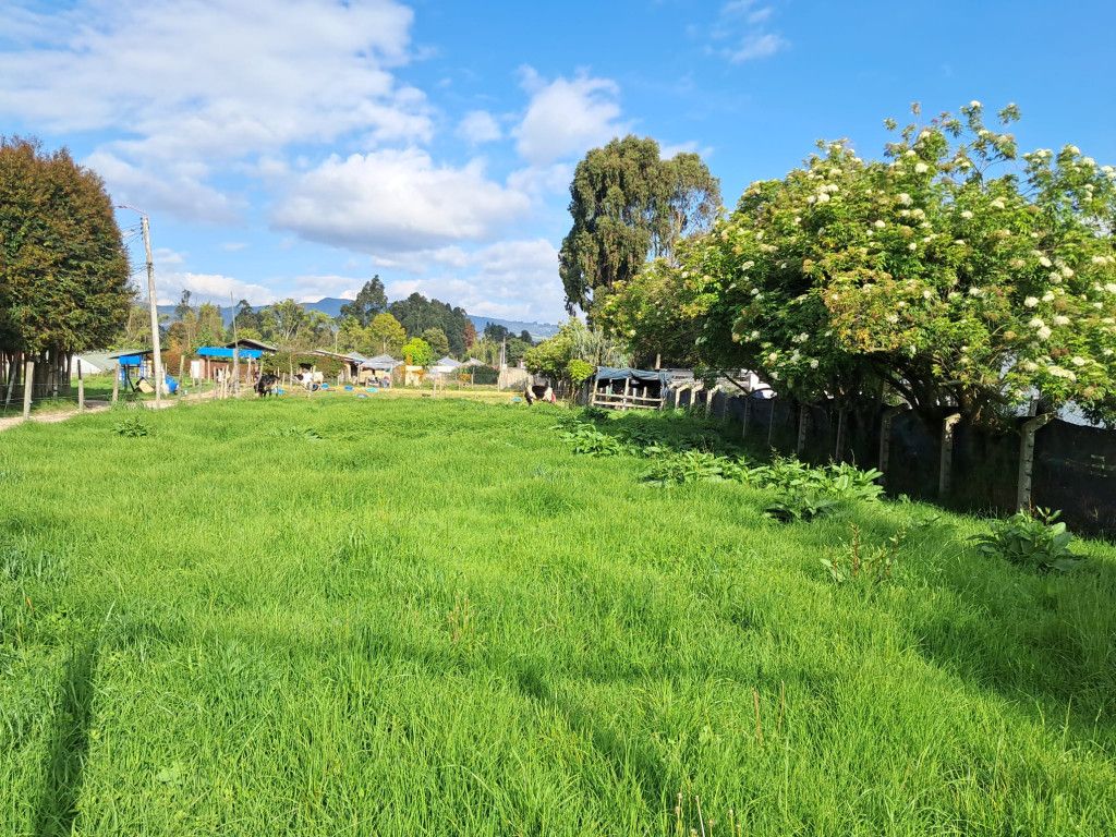 Lote en venta Cundinamarca Chía Chia 0 m2 Habitaciones 0 Baños 0 Garajes 0 Precio $636000000