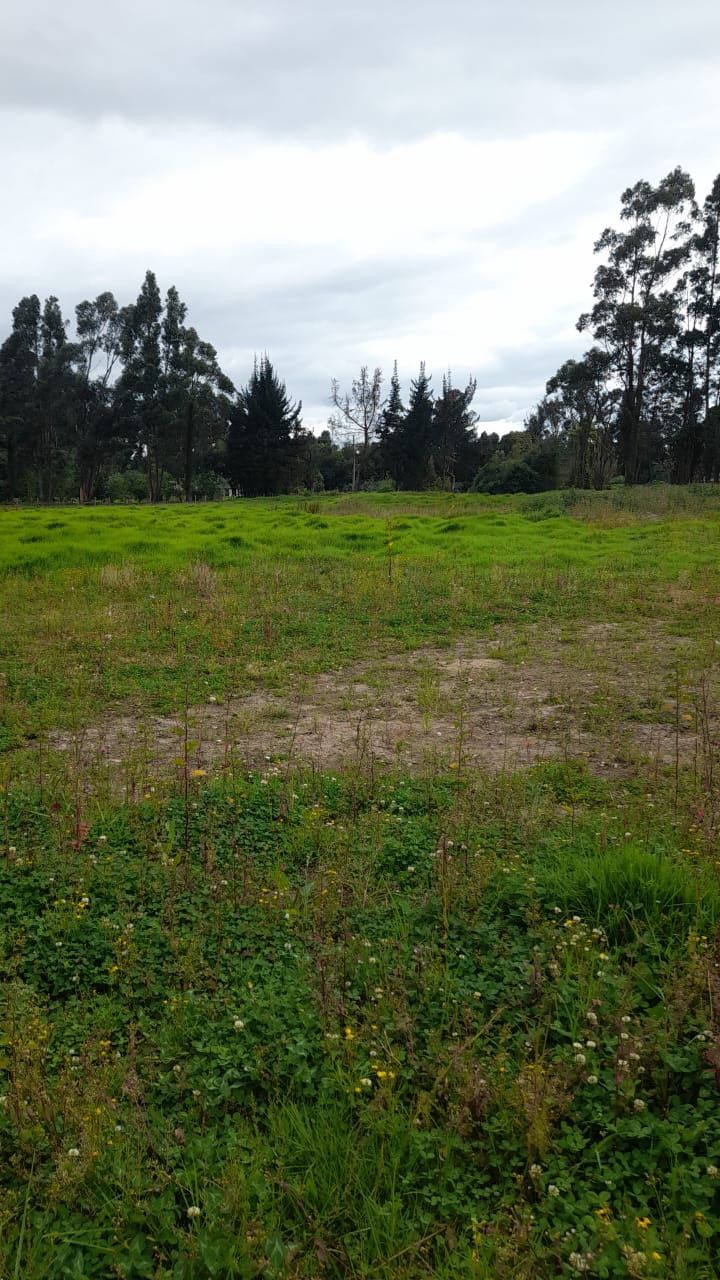 Lote en venta Cundinamarca Cajicá Cajica 6840 m2 Habitaciones 0 Baños 0 Garajes 0 Precio $1700000000