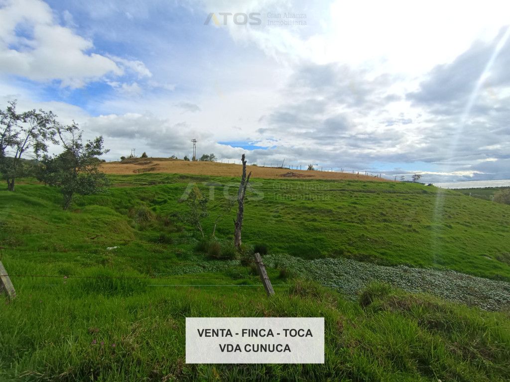 Finca en venta Boyacá Toca Toca 24000 m2 Habitaciones 0 Baños 0 Garajes 0 Precio $350000000