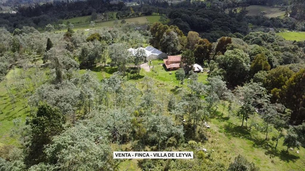 Finca en venta Boyacá Villa De Leyva Villa De Leyva 200 m2 Habitaciones 0 Baños 10 Garajes 1 Precio $1500000000