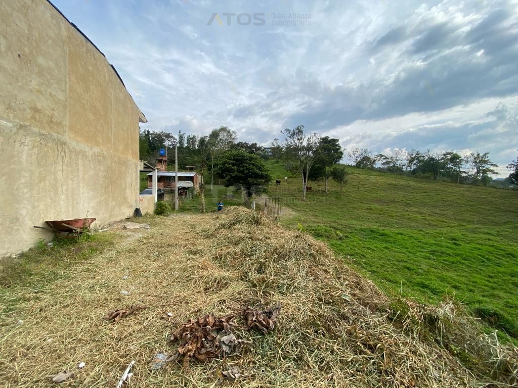 Lote en venta Boyacá Moniquirá Moniquira 113 m2 Habitaciones 0 Baños 0 Garajes 0 Precio $90000000