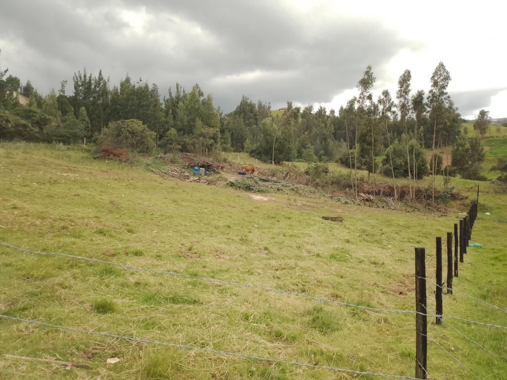 Lote en venta Boyacá Cómbita Cómbita 0 m2 Habitaciones 0 Baños 0 Garajes 0 Precio $270000000