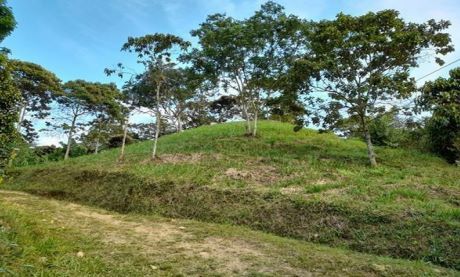 Finca en venta Santander Suaita Suaita 52 m2 Habitaciones 1 Baños 1 Garajes 0 Precio $350000000