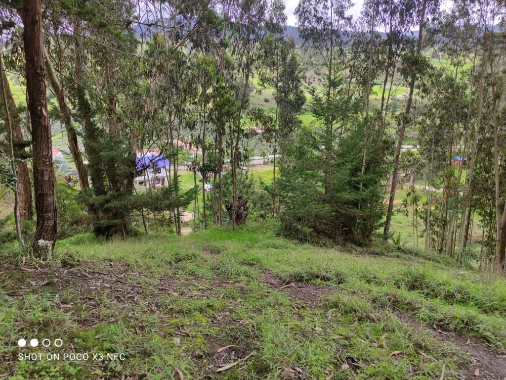 Lote en venta Boyacá Jenesano Jenesano 18321 m2 Habitaciones 0 Baños 0 Garajes 0 Precio $2500000000