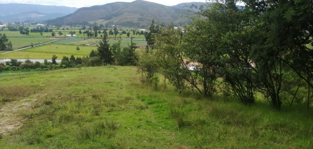 Finca en venta Boyacá Tibasosa Tibasosa 1200 m2 Habitaciones 0 Baños 0 Garajes 0 Precio $4000000000