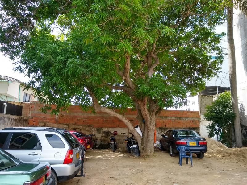 Lote en venta Atlántico Barranquilla El Porvenir 0 m2 Habitaciones 0 Baños 10 Garajes 1 Precio $2700000000