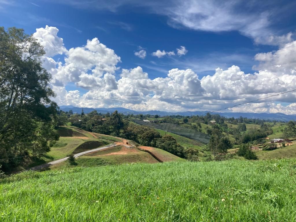 Lote en venta Antioquia El Carmen De Viboral Villanueva 2500 m2 Habitaciones 0 Baños 10 Garajes 1 Precio $392000000