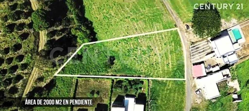 Lote en venta Valle Del Cauca Alcalá Alcala 0 m2 Habitaciones 0 Baños 0 Garajes 0 Precio $440000000