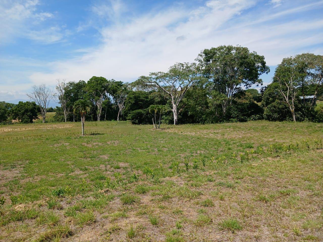 Lote en venta Risaralda Pereira Cerritos 2434 m2 Habitaciones 0 Baños 10 Garajes 1 Precio $740000000