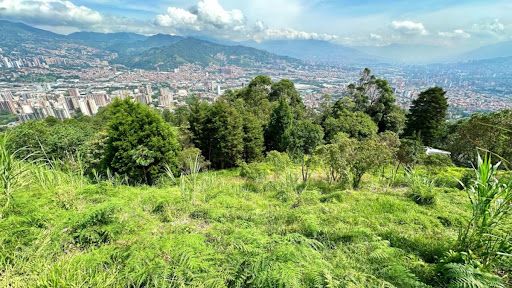 Lote en venta Antioquia Envigado Loma Del Barro 7035 m2 Habitaciones 0 Baños 0 Garajes 0 Precio $1830000000