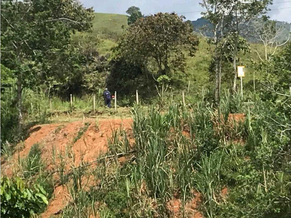 Lote en venta Antioquia San Roque San Roque 3 m2 Habitaciones 0 Baños 10 Garajes 1 Precio $150000000