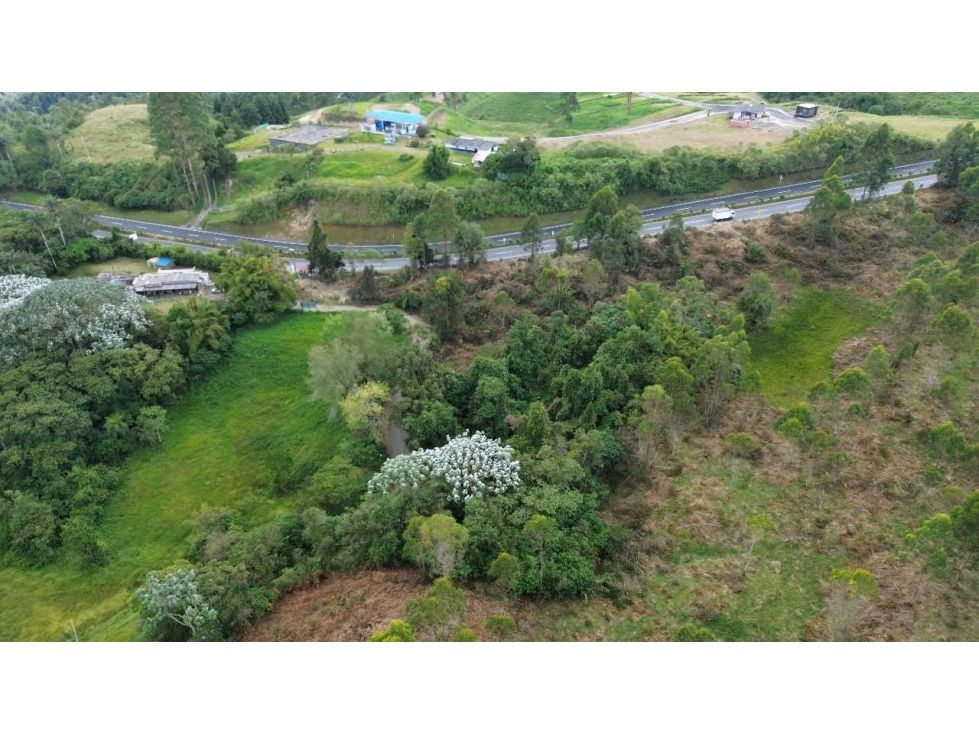 Lote en venta Risaralda Pereira Pereira 40000 m2 Habitaciones 0 Baños 0 Garajes 0 Precio $1300000000