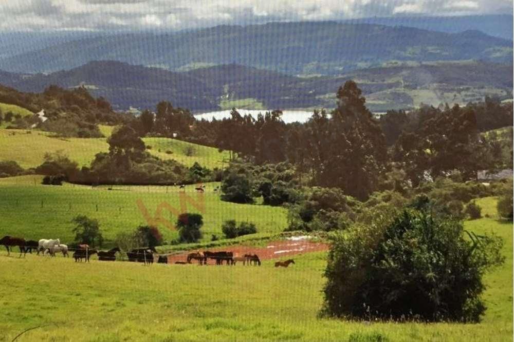 Finca en venta Cundinamarca Sesquilé Sesquile 151265 m2 Habitaciones 0 Baños 0 Garajes 0 Precio $5637600000