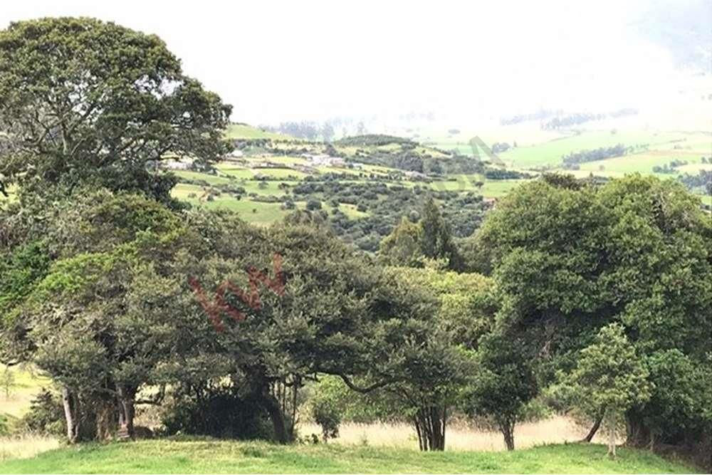 Lote en venta Cundinamarca Sopó Sopó 2848 m2 Habitaciones 0 Baños 0 Garajes 1 Precio $685000000