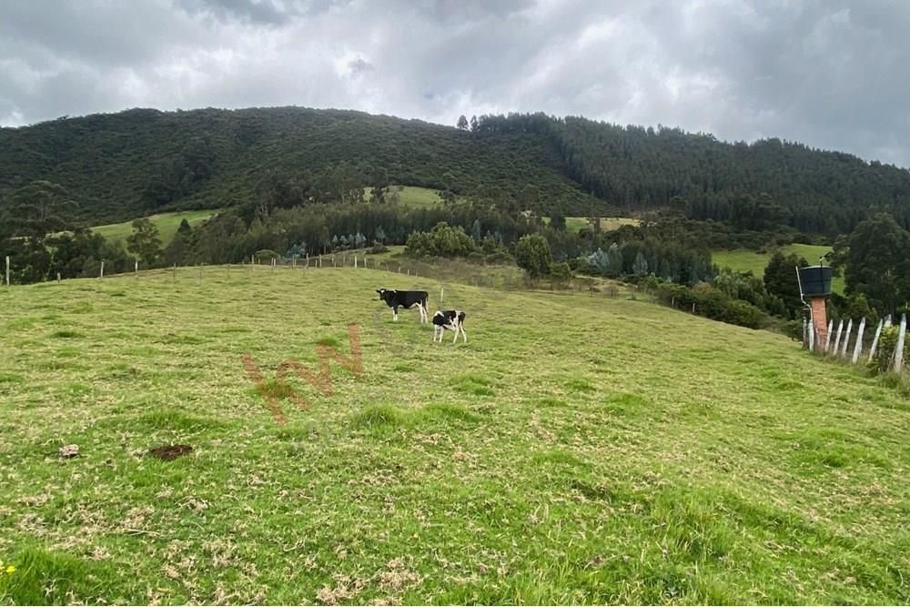 Lote en venta Cundinamarca Zipaquirá Zipaquira 5785 m2 Habitaciones 0 Baños 0 Garajes 1 Precio $450000000