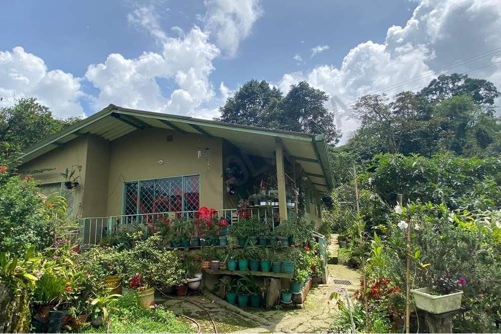 Lote en venta Cundinamarca Sasaima Sasaima 122100 m2 Habitaciones 0 Baños 0 Garajes 1 Precio $1950000000