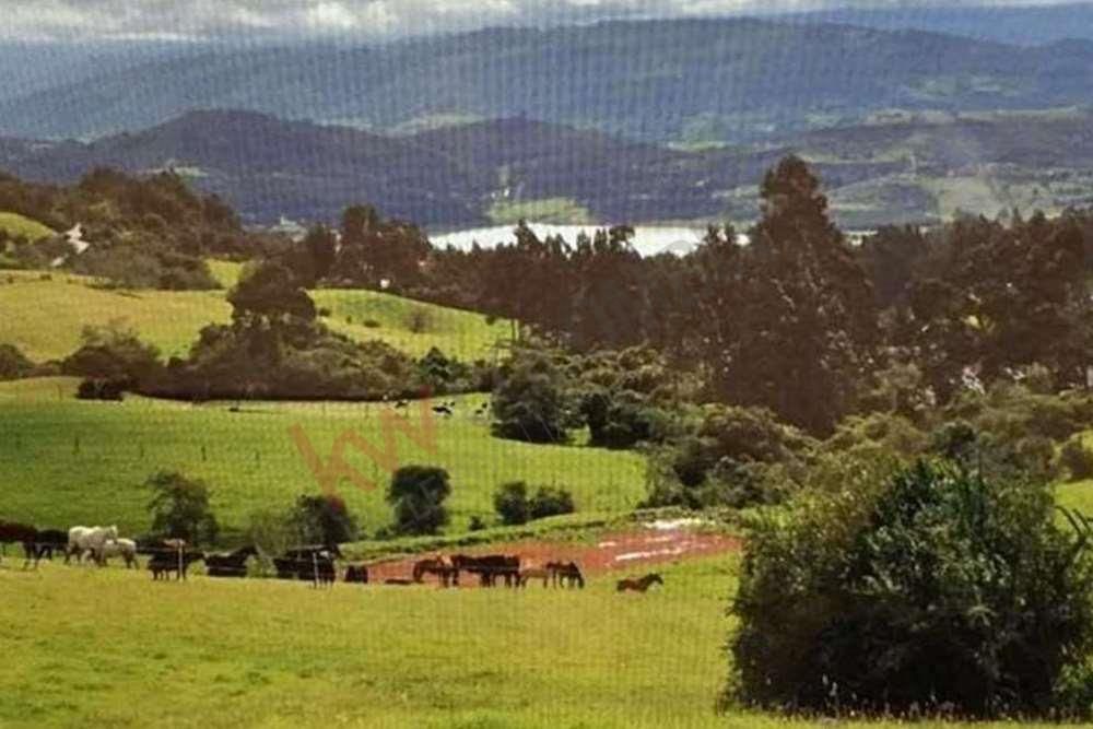 Finca en venta Cundinamarca Sesquilé Sesquile 106253 m2 Habitaciones 0 Baños 0 Garajes 1 Precio $3960000000