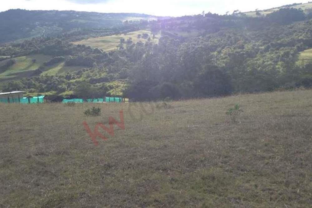 Lote en venta Cundinamarca Chía Chia 10000 m2 Habitaciones 0 Baños 0 Garajes 1 Precio $700000000