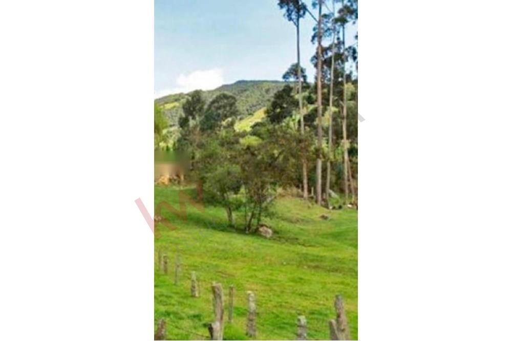 Lote en venta Cundinamarca La Calera La Calera 2583 m2 Habitaciones 0 Baños 1 Garajes 1 Precio $300000000