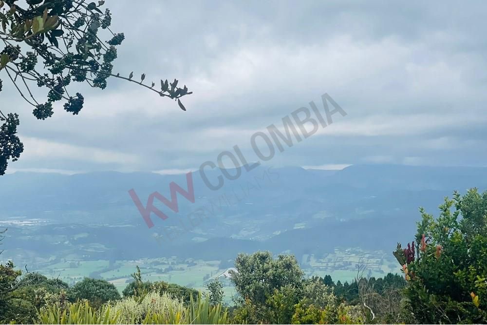 Lote en venta Cundinamarca Chía Chia 4000 m2 Habitaciones 0 Baños 0 Garajes 1 Precio $500000000