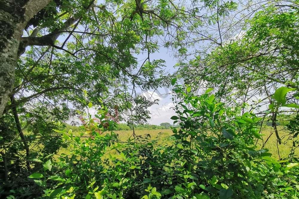 Lote en venta Valle Del Cauca Jamundí Jamundí 79995 m2 Habitaciones 0 Baños 0 Garajes 1 Precio $9443000000