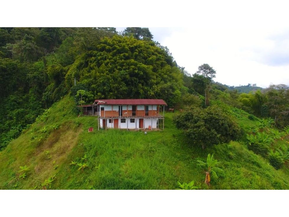 Finca en venta Caldas Manizales Manizales 160 m2 Habitaciones 3 Baños 1 Garajes 0 Precio $260000000