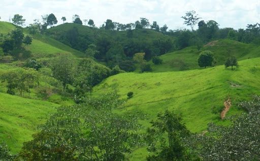 Finca en venta Cundinamarca Siberia Siberia 411 m2 Habitaciones 0 Baños 10 Garajes 1 Precio $4200000000