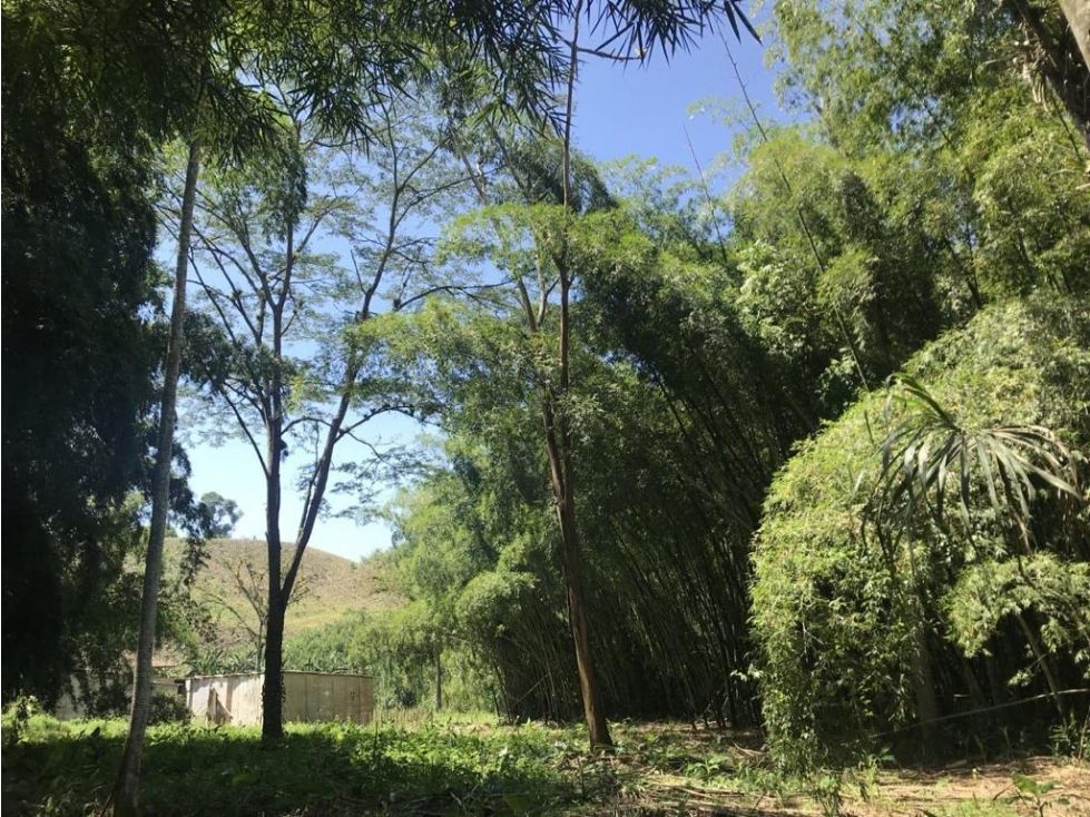 Lote en venta Caldas Manizales Manizales 1000 m2 Habitaciones 0 Baños 2 Garajes 4 Precio $900000000