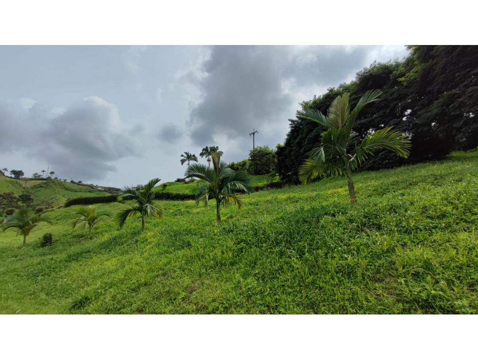 Finca en venta Caldas Chinchiná Chinchiná 899 m2 Habitaciones 0 Baños 0 Garajes 0 Precio $269700000