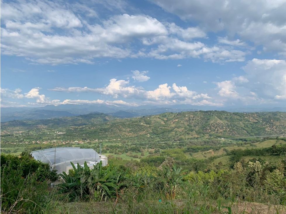 Lote en venta Caldas Palestina Palestina 4000 m2 Habitaciones 0 Baños 0 Garajes 0 Precio $335000000