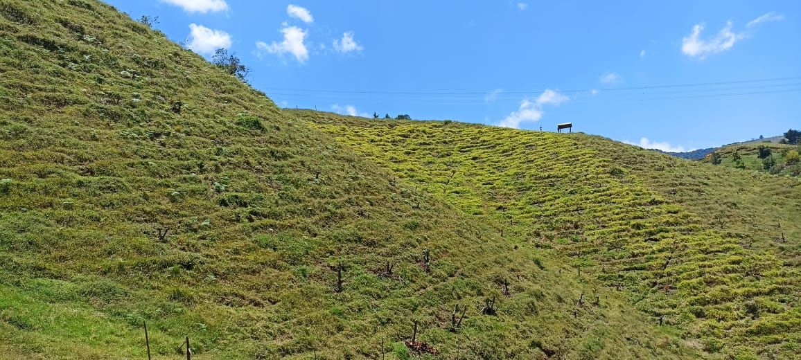 Finca en venta Antioquia Abejorral Combia 24000 m2 Habitaciones 2 Baños 0 Garajes 2 Precio $480000000